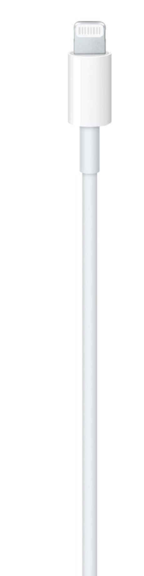 Câble USB-C vers Lightning (1m) Apple blanc