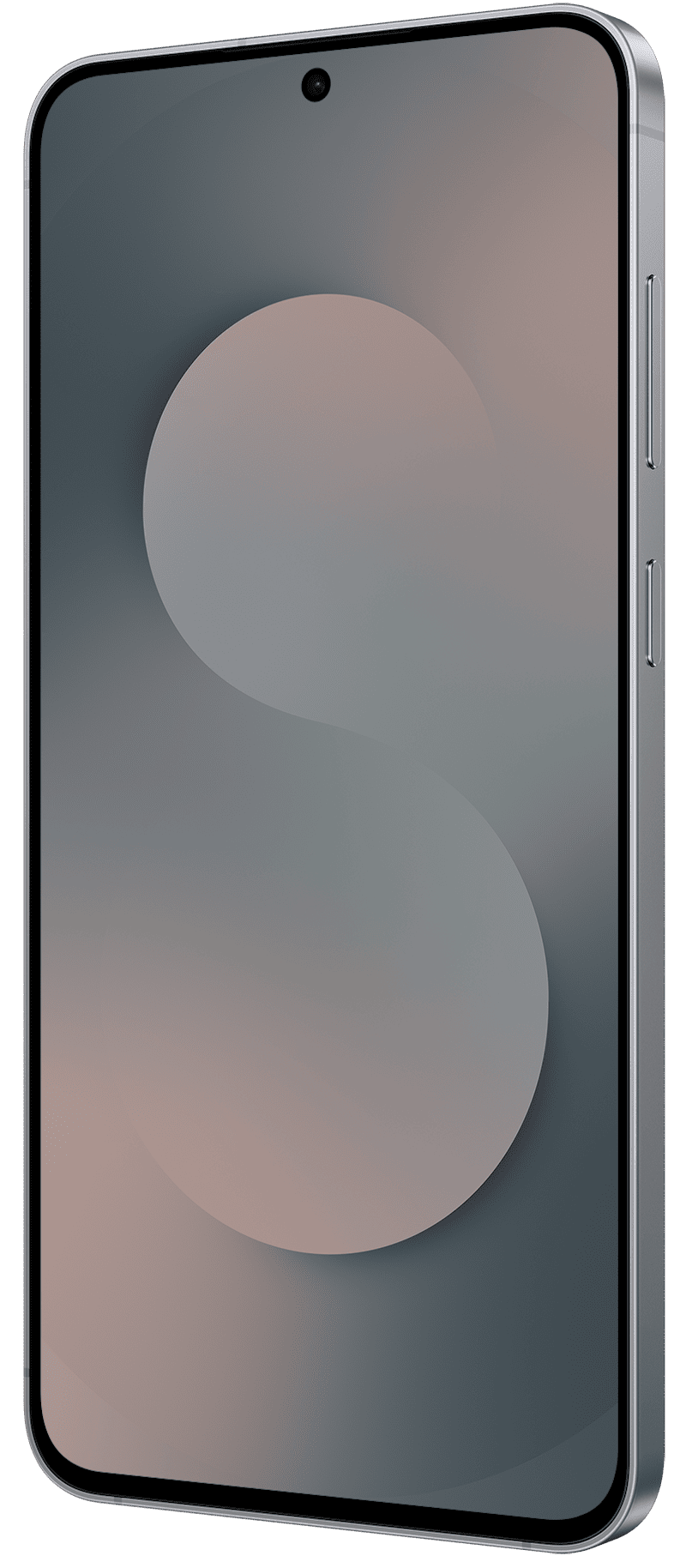 Samsung Galaxy S25 FE noir absolu 256Go