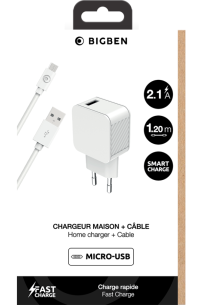 Chargeur secteur 2.4 USB A micro USB blanc
